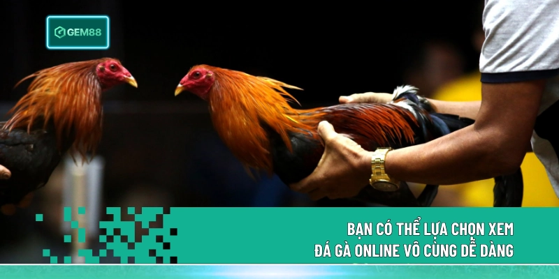 Bạn có thể lựa chọn xem đá gà online vô cùng dễ dàng