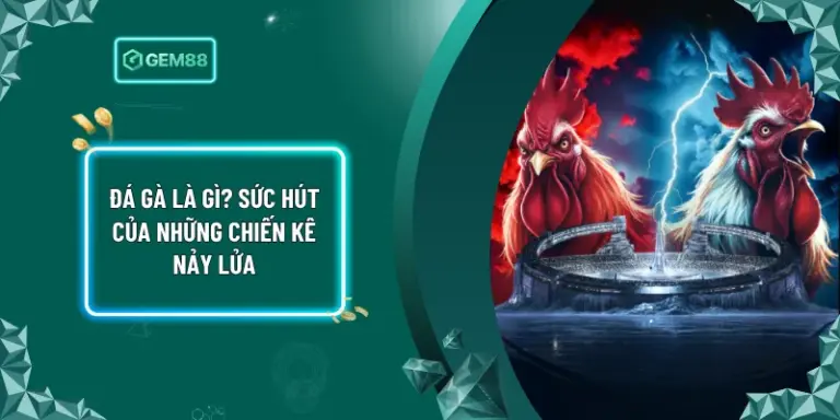 Đá Gà Là Gì? Sức Hút Của Những Chiến Kê Nảy Lửa