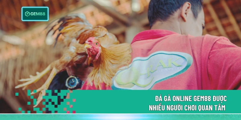 Đá gà online Gem88 được nhiều người chơi quan tâm