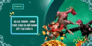 Đá Gà Thomo