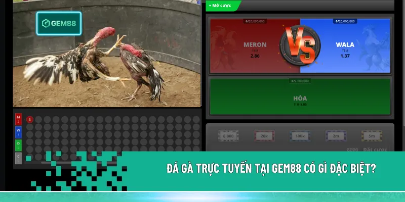 Đá gà trực tuyến tại Gem88 nổi bật với hình ảnh sắc nét, phát sóng 24/7, minh bạch và tiện lợi khi theo dõi, đặt cược