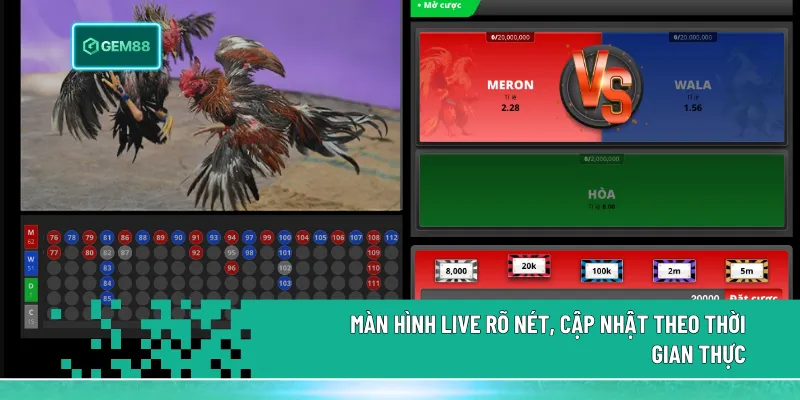 Màn hình live sắc nét, truyền tải trận đấu theo thời gian thực với đầy đủ thông tin chiến kê